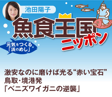 激安なのに磨けば光る“赤い宝石” 鳥取・境港発「ベニズワイガニの逆襲」