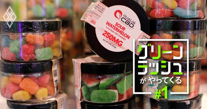 グリーンラッシュがやってくる#1