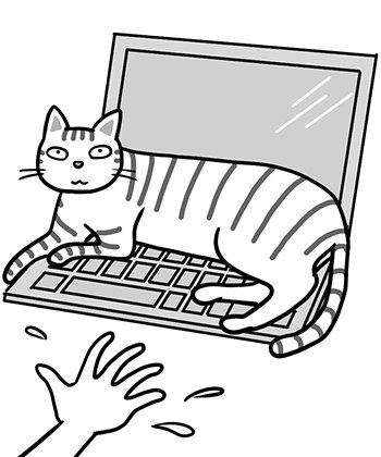 うちの猫の昼寝の場所には、私への贈り物があった