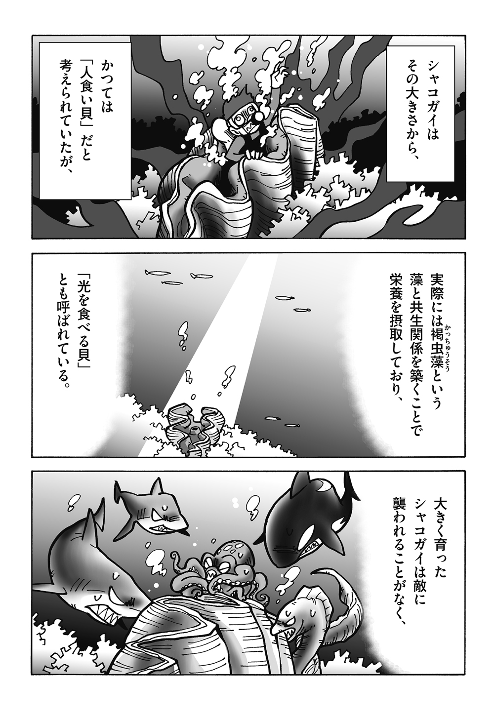 巣の入口には、頭がい骨を砕かれた敵の死体…<br />ウォンバットのヒップアタックが強すぎる!