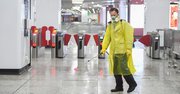 新型肺炎禍の中国で「猫ブーム」の理由、人間に翻弄されるペットの悲劇
