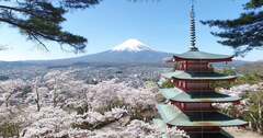 日本の絶景、満開の桜と五重塔と富士山