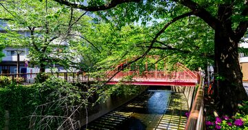 【目黒区ベスト10】小学校区「教育環境力」ランキング