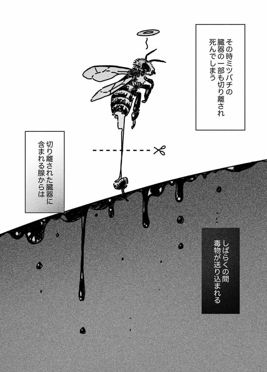【マンガ】散歩中にミツバチに襲われ、全身から「2443本のハチの針」を摘出、さらには運悪くワニが現れ、愛犬がさらわれる…「世界一ミツバチに刺された男」の悲惨な結末とは