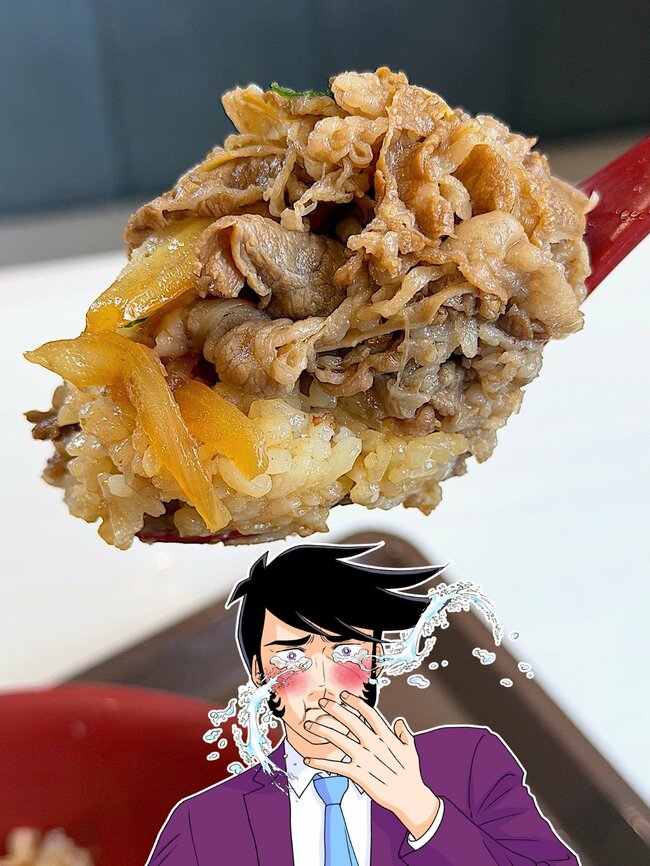 もう普通の牛丼に戻れないかも…すき家の“よくばり限定メニュー”食べ応えがスゴすぎる!「美味しすぎて声出た」「ばりうまい」「活力みなぎる」《実食レビュー》