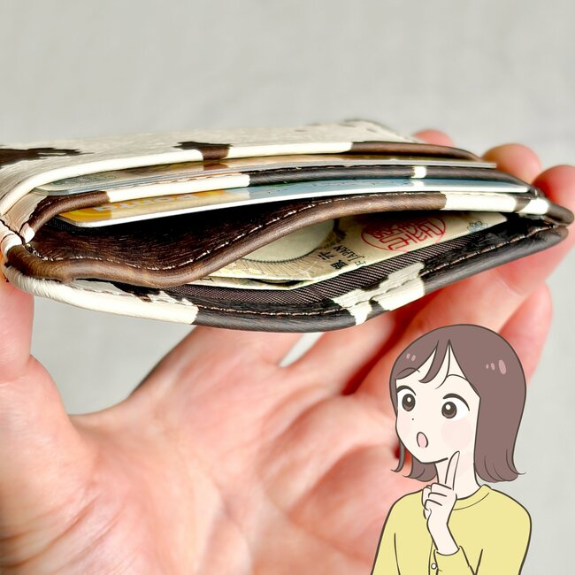 カードや診察券が11枚入った…!3COINSの“ぺたんこケース”ミニ財布がわりになって便利!「2個購入しました」「可愛いので愛用してます」《購入レビュー》
