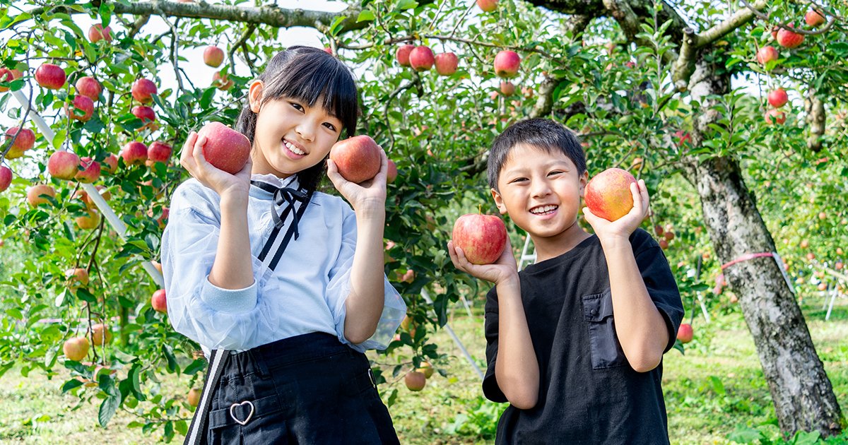 子どもの「海外体験」を買う富裕層、「近所のお祭り」すら行けない低所得層…体験格差は親の自己責任か？