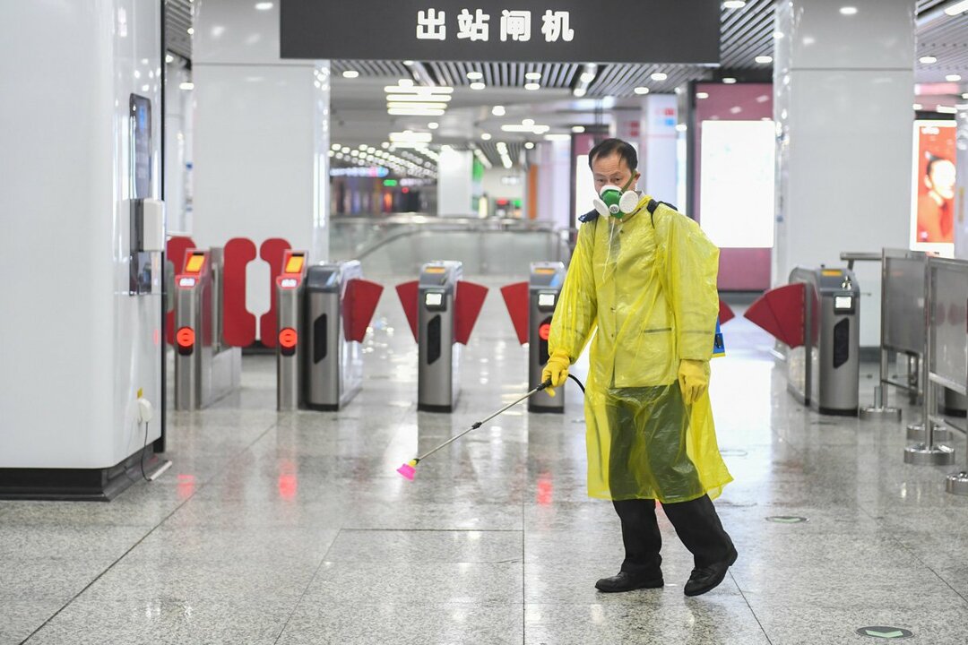 新型肺炎の感染拡大が続く中国では、「感染を拡大する」として猫や犬が虐殺されたり、逆に「猫を飼うと感染しない」という誤った情報やデマが広がっている