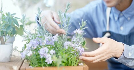 【一流経営者が明かす】苦しい状況でも「平常心」を保つ“小さな習慣”とは？