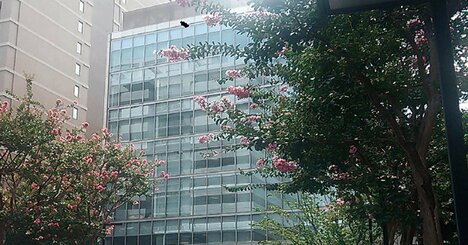 売り上げを伸ばすツムラの「死角」とは？中国依存と米国長期投資の実情