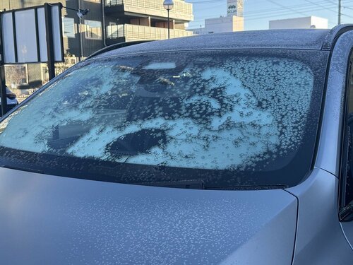 フロントガラスにもエンジンフードにも霜