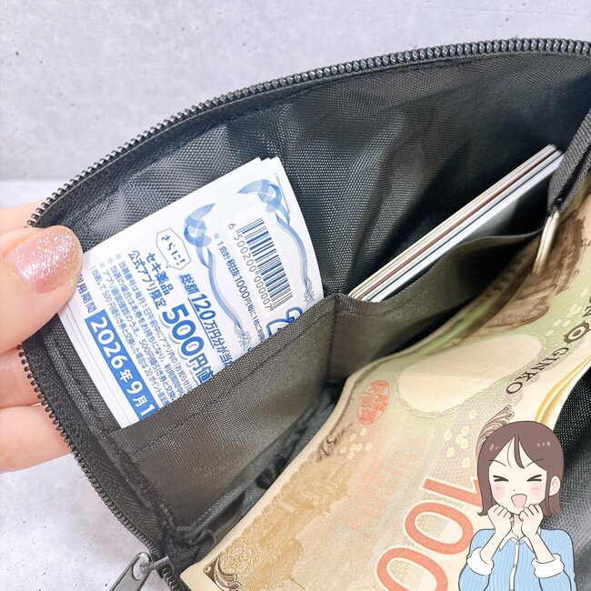 【ダイソー】カードが40枚も入った！ガバッと開く「ぺたんこポーチ」お財布代わりにもなって優秀！《購入レビュー》