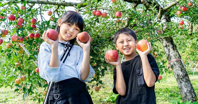 りんご狩りを楽しむ子どもたち