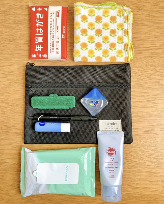 お薬手帳と診察券50枚がスッキリ！セリアの「おしゃれ仕分けポーチ」レシートの整理もできて優秀！《購入レビュー》