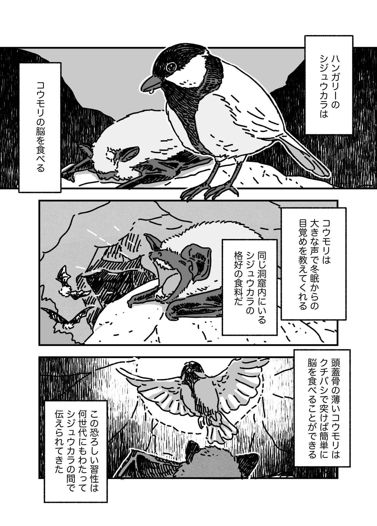【マンガ】洞窟で冬眠から目覚めたばかりのコウモリの頭蓋骨をクチバシで破り、汁気の多い脳を食べる「すごい鳥」とは？