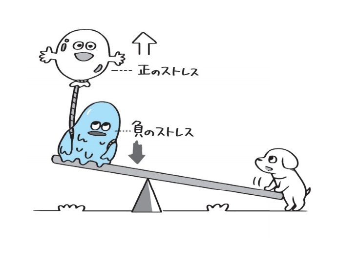 【超・永久保存版】メンタルが強すぎる人がやっている「最高の習慣」ベスト1