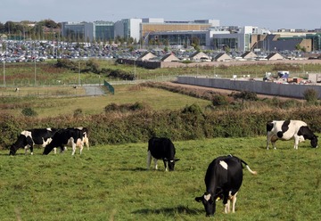 アイルランド、法人税収で欧州の「成金」に
