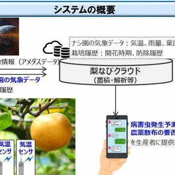 スマホで梨の病害を予測・防除支援をする実証実験