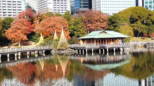 【冬の日本庭園】訪日外国人ガイドの目線から再発見する名庭園風景の眺め方と感じ方