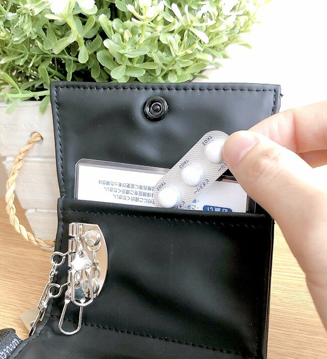 ミニ財布にちょうどいい…！ダイソーの「小銭が入るキーケース」クレカや診察券もスポッとしまえるの！