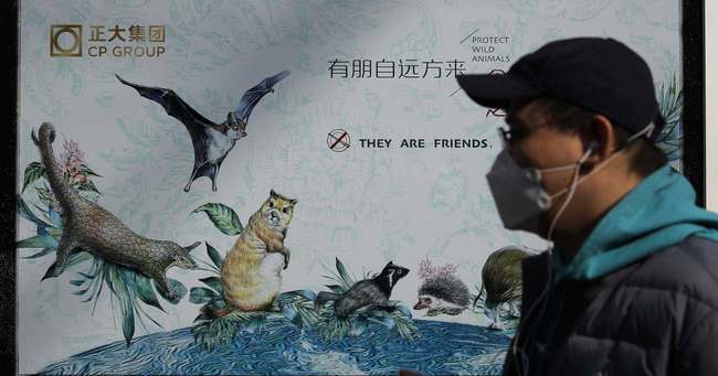新型コロナ元凶説の「野生動物食」、中国の禁止措置は成功するか