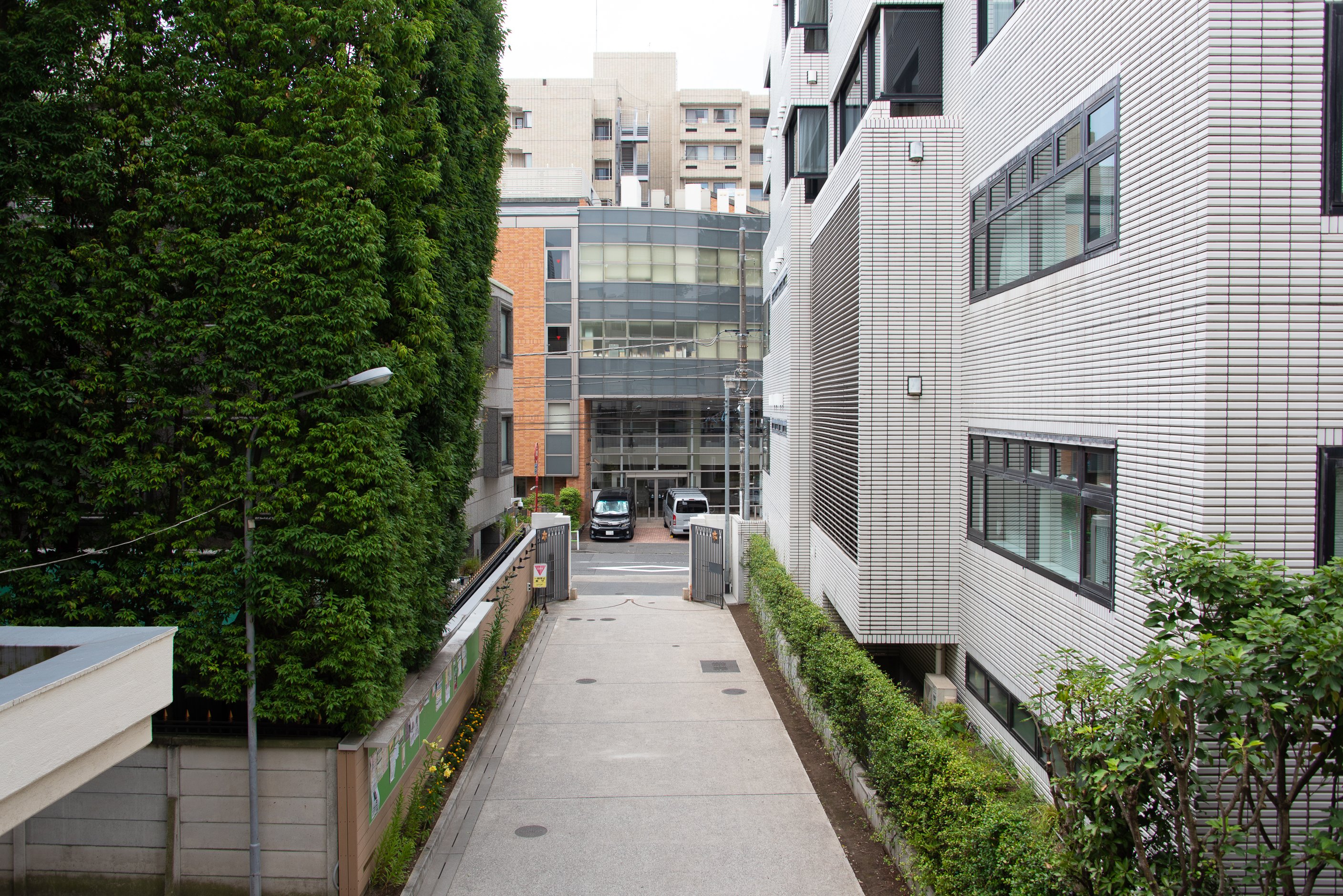 校門からの狭い校道の拡張も課題。右が取得した建物
