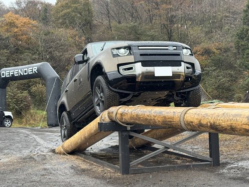自分で組んだ丸太橋。不安過ぎる……