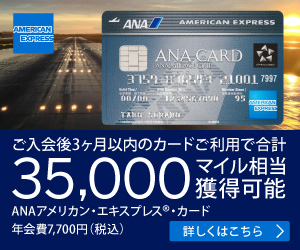 ANAアメックスならANAマイルが無期限で貯められて還元率アップ！ じっくり貯めて長距離航空券との交換を目指せ!