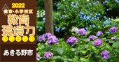 【あきる野市ベスト3】小学校区「教育環境力」ランキング!【偏差値チャート最新版】