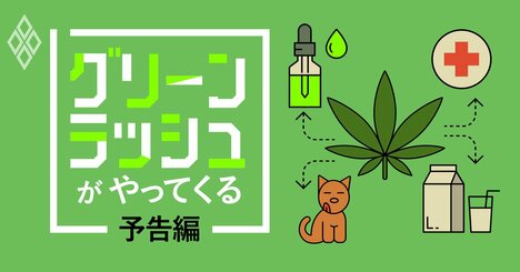 「大麻特需」がやってくる！新たな金脈を前に日本はどうする？