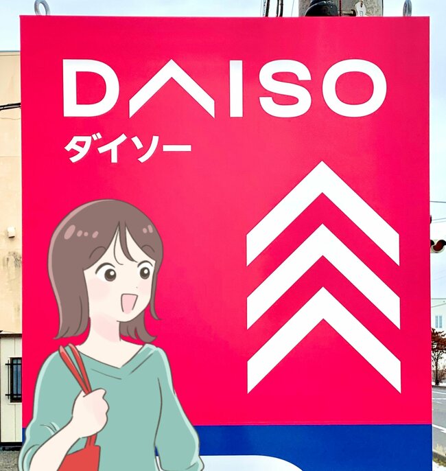 「ほんとうに助かります」ダイソーの“アイデア収納アイテム”に絶賛の声「並べるだけでいい感じ」「これで300円は良き」