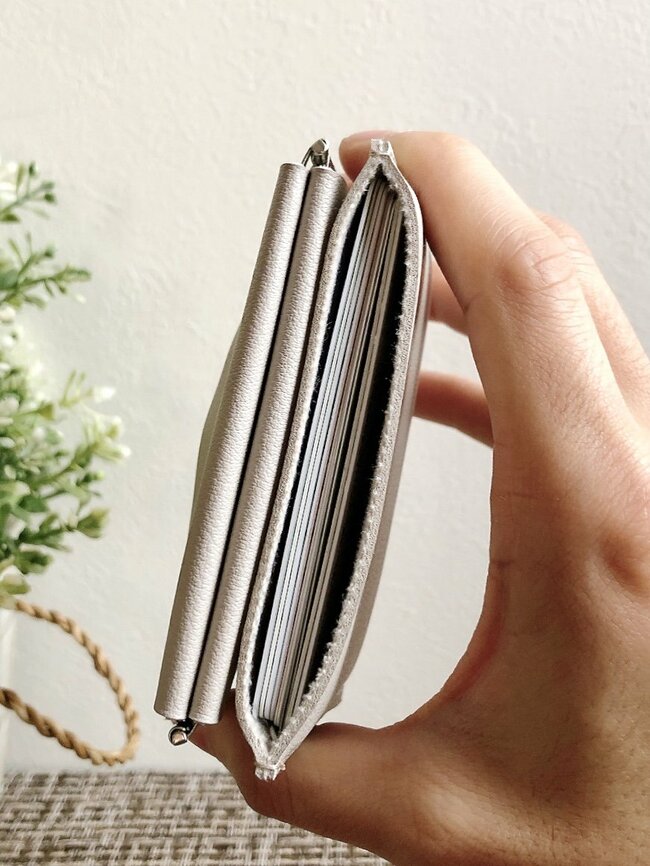 もうミニ財布はこれでいいじゃん！ダイソーの“小銭が入るカードケース”パカッと開いて使いやすい！「これで220円は安すぎる」「コンパクト財布の最適解きてた」