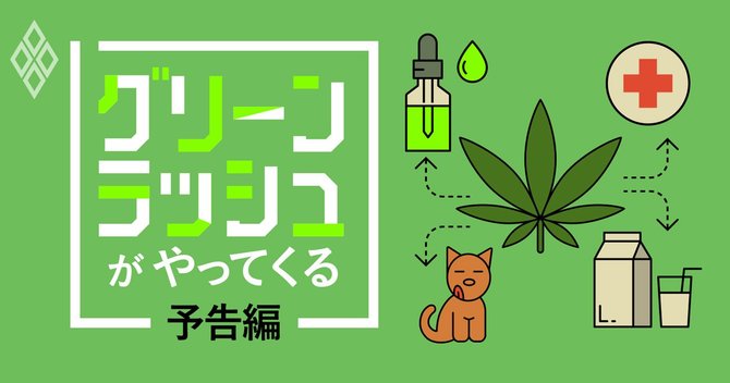 グリーンラッシュがやってくる予告編