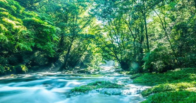 「日本の水源地」である山林を外国資本が狙っている?