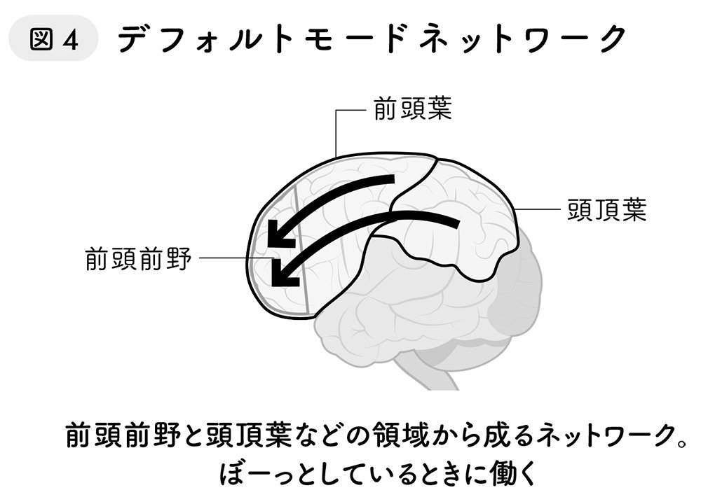 図4　デフォルトモードネットワーク