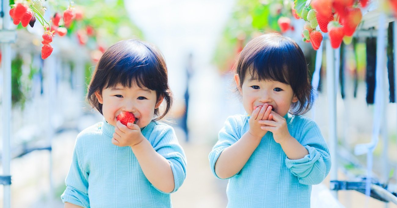 小児科医が教える】「食物繊維を摂取した子、しなかった子」。便秘以上