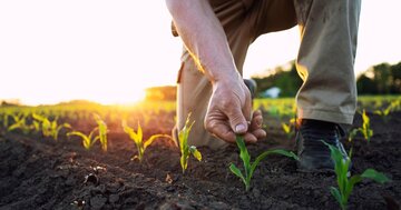 人類は「効率」で文明を進化させてきた。農耕・蒸気機関・インターネットを経て、ついに“知識そのものの効率化”が始まった今、世界はどこへ向かうのか？