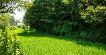 通学区域拡大の影響はどう出たのか？日本一の進学校「筑駒」の三大行事と水田実習