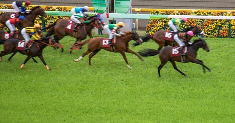 競馬ファンと投資家の「意外な共通点」とは？