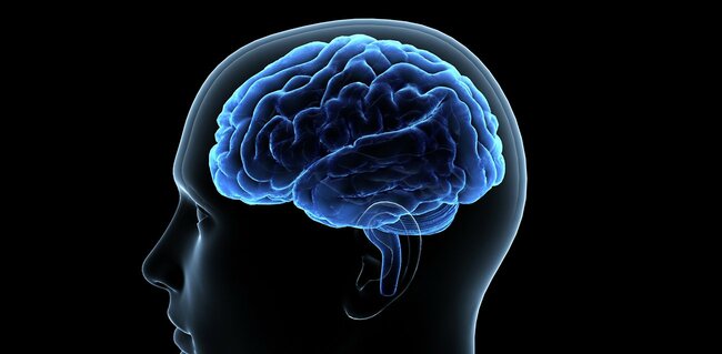1970年代生まれvs1930年代生まれ、「脳の大きさ」が違う意外な理由