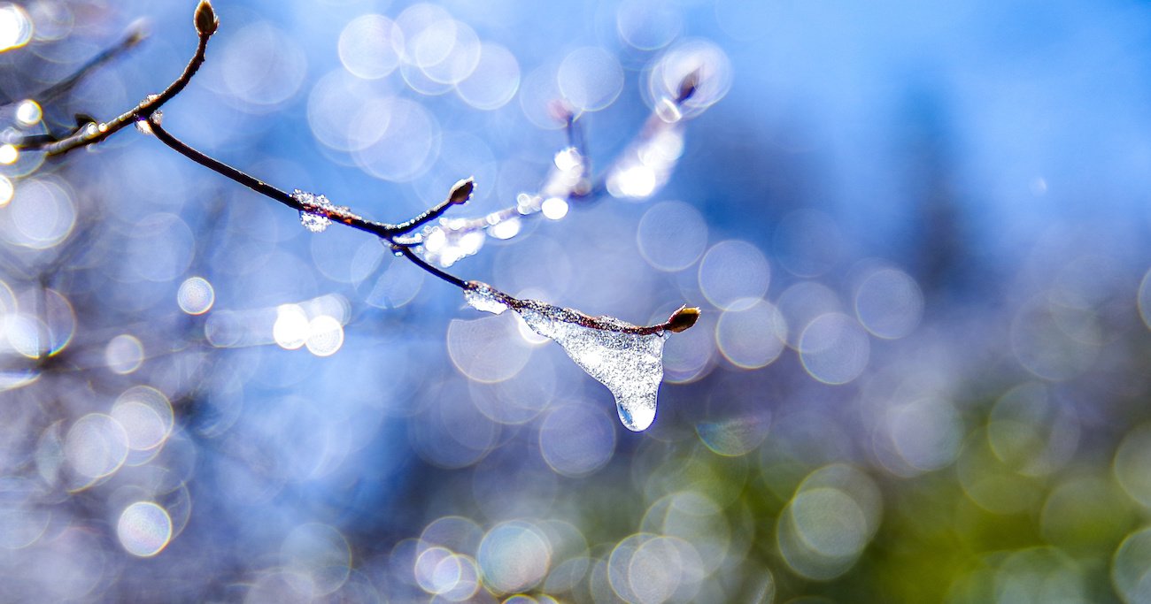 雪と氷が溶け雨と水に変わる。春を感じさせる「雨水」