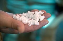 ロシア、火薬原料の輸入急増　西側企業も関与か