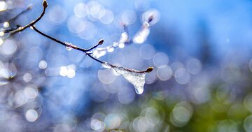 【2月19日は「雨水」!】春めくこの時期に、長く続く若さと健康を手にする方法とは?