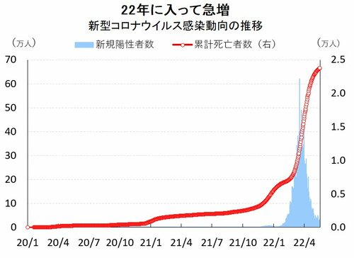 図表1：新型コロナウイルス感染動向の推移