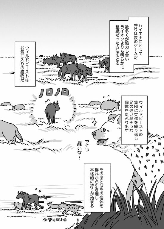 【マンガ】硬い甲羅のカメを噛み砕き、シマウマを30分で食べ尽くす…“ボーン・クラッシャー”「ハイエナ」に襲われた動物の悲劇的な最期とは