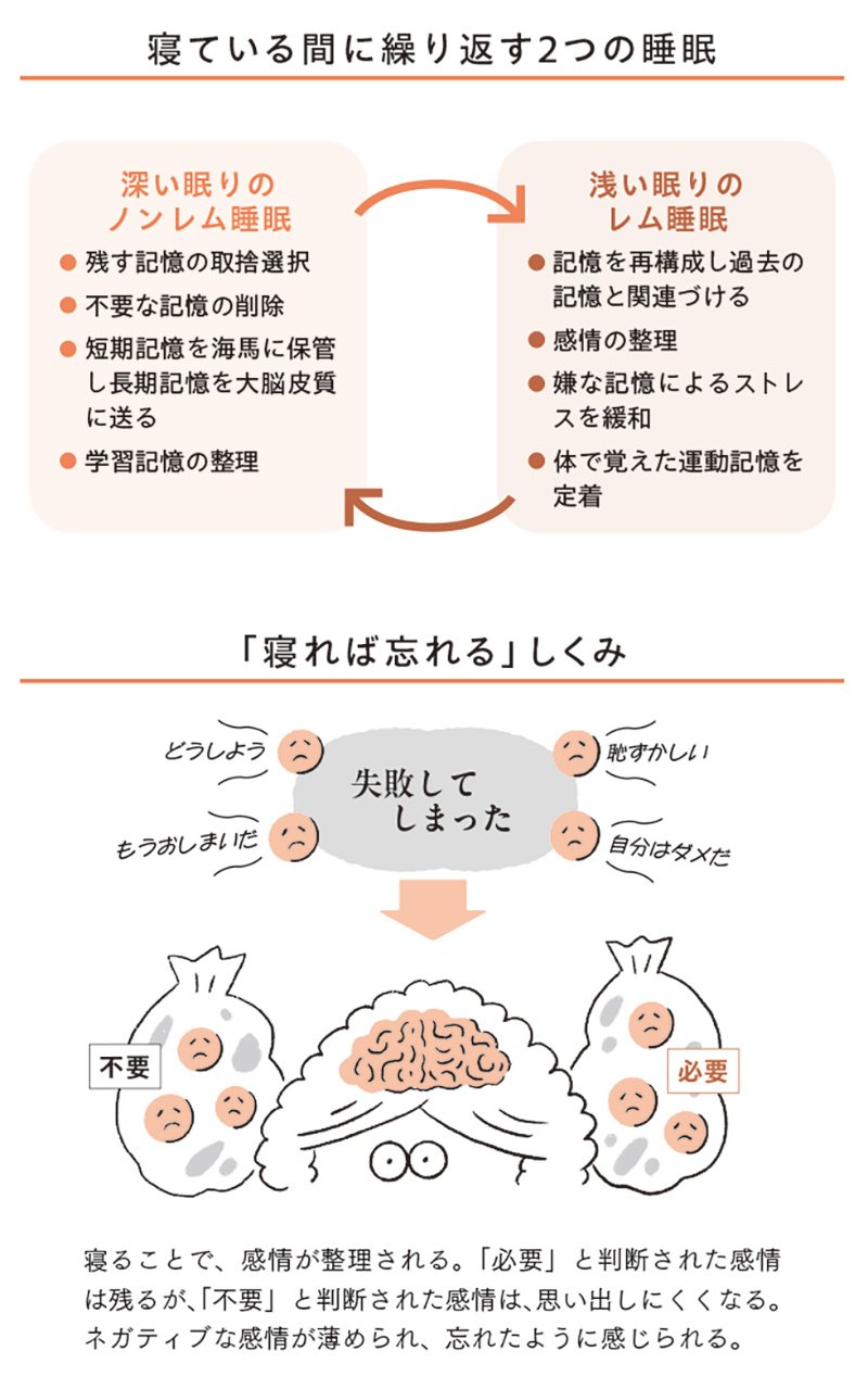 図表　寝ている間に繰り返す2つの睡眠、「寝れば忘れる」しくみ