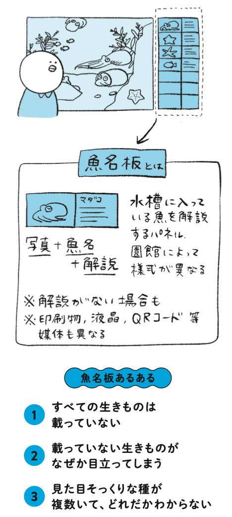 図表：水族館に必ずある「魚名板」（ぎょめいばん）とは？