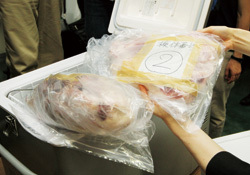 セシウム汚染牛が市場に流通<br />畜産農家、卸、小売りに大打撃