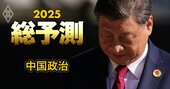 【25年の中国政治】「戦狼外交」から「ほほ笑み外交」へ、内憂外患で追い込まれた習近平が恐れる“最悪の事態”とは