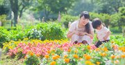 地元愛が強い都道府県ランキング2020【完全版】